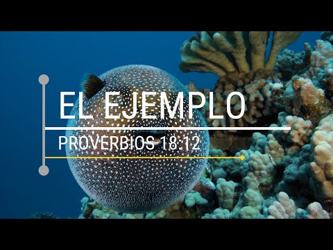 El Ejemplo: Proverbios 18:12