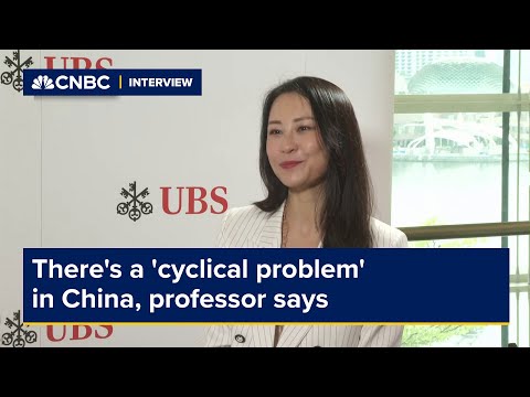 中国には "循環的な問題 "がある、と教授 (There's a 'cyclical problem' in China, professor says)