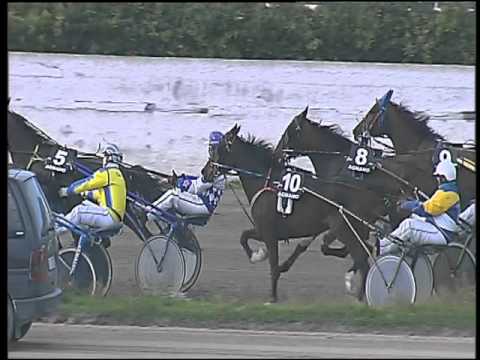 Trotto 18/03/2016 - 3° corsa