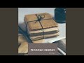 Piccolo Segno