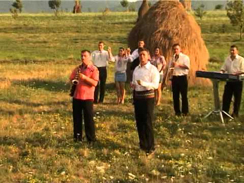 Puiu Codreanu - N-o dau pe Maria mea