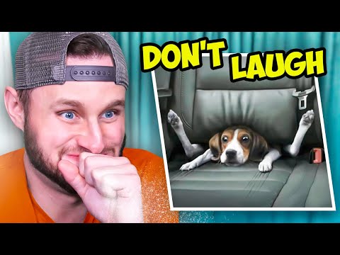 99% Lose this TRY NOT TO LAUGH Challenge