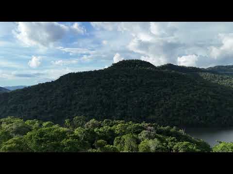 A natureza é simplesmente perfeita 