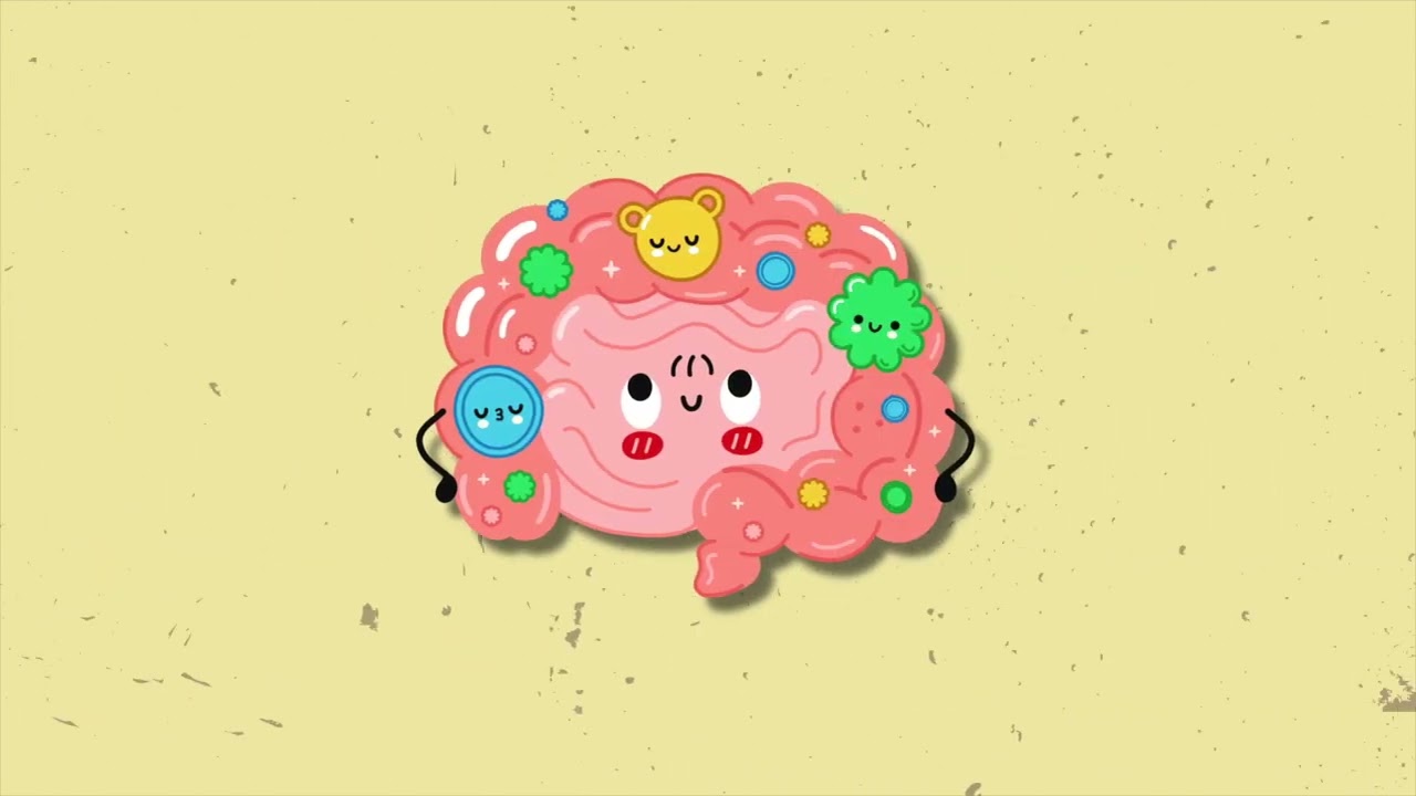 How Our Brain and Gut Work Together