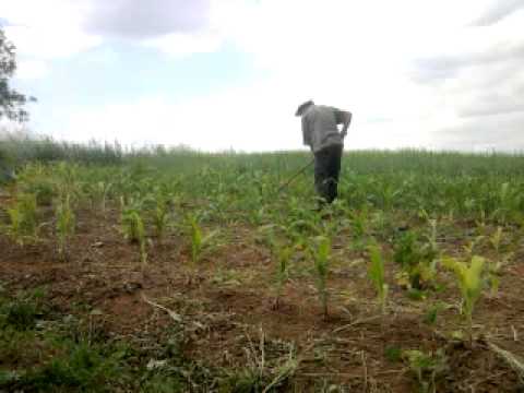 smesan klip nema leba bez motike. aljit