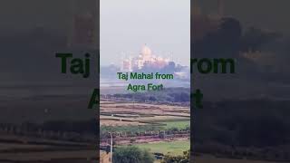 View of Taj from Agra Red Fort #agrafort  #agra #tajmahal #india #travel #incredibleindia #shorts_