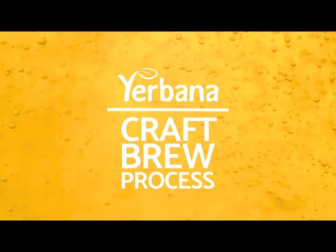 Seattle's First Craft Brewed Sparkling Yerba Mate: The Yerbana Process