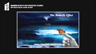 Butterfly Effect