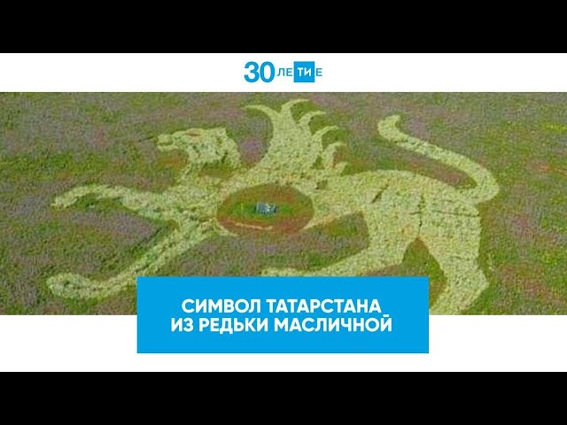 Символ Татарстана из редьки масличной