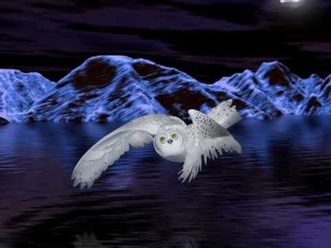 My Choice 551 - Ziehrer: Night Owl Waltz