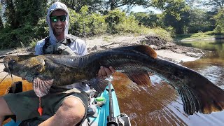 Giant Flathead Catfish | PB In A Tiny Creek
