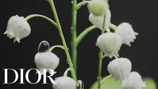 Dior May 1st at Dior with Diorissimo