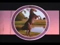 Stars Of Space Jam Bugs Bunny UK VHS Trailer Reel 1997