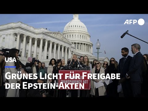 US-Kongress gibt grünes Licht für Freigabe der Epstein-Akten | AFP