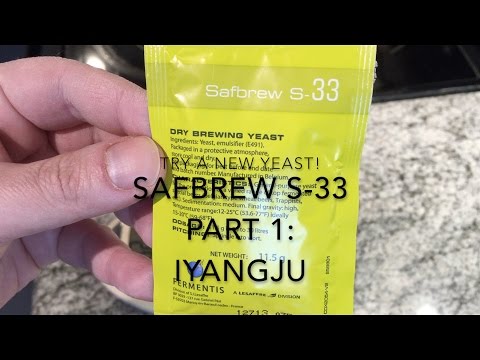 Try a new yeast S-33 Part 1: iyangju 이양주 막걸리 청주