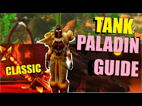 Classic Prot Paladin: Tank Showcase