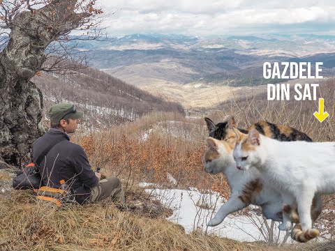 Prin satul Dalma catre varful Dalma|jud. Buzau