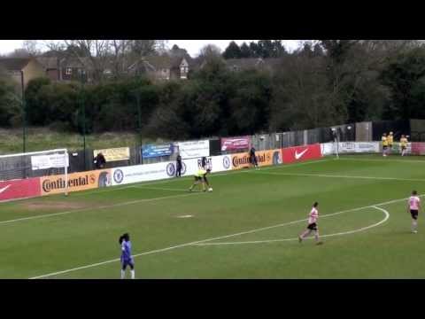 Women's Football Diaries 2013 - Birmingham City Ladies F.C