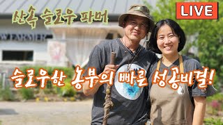 슬로우 파머의 숲치유