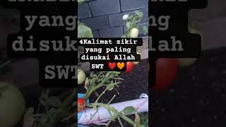 Download lagu 4 Most Liked Dhikr Sentences by Allah SWT @syahditutorial mp3 Download lagu 4 Most Liked Dhikr Sentences by Allah SWT @syahditutorial mp3
