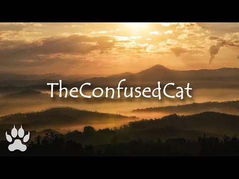 Kendall Miles x I Eat Plants For A Living - Dream Sequence