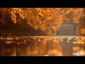 AKMusique | Cafe Noir 