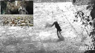 Destiny RD Crew-Here Today Gone Tomorrow