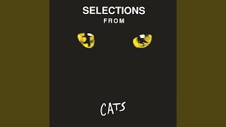 The Ad-Dressing of Cats