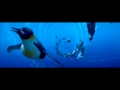 Penguins Swimming