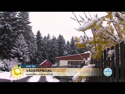 Det ligger bakom det ostadiga aprilvädret - Nyhetsmorgon (TV4)