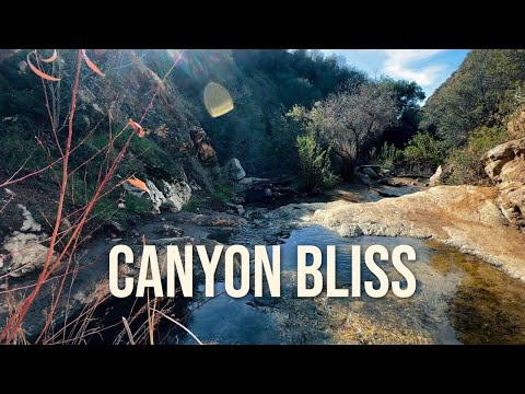 Whitney Canyon: A Beautiful Waterfall Hike After the Rain