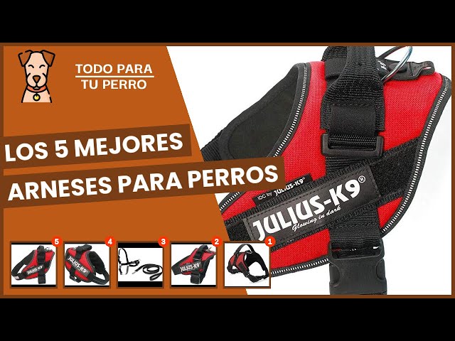 Vídeo relacionado con KAJILE Arnés de Elevación de Todo el Cuerpo del Perro,Los Perros Grandes de Apoyo Mochila,Fit Lesiones en Las Articulaciones,Perro Mayor,La Artritis,La Cirugía de Rehabilitación,Negro,L