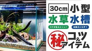 小型水草水槽の成功のコツ&㊙アイテムを紹介!めざせコケに悩まされないアクアリウムライフ!水換え不要?メンテナンスフリー水槽【水槽浄化パック】【水換え不要】【ろ材】