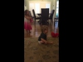 Tickle Me Elmo Fail
