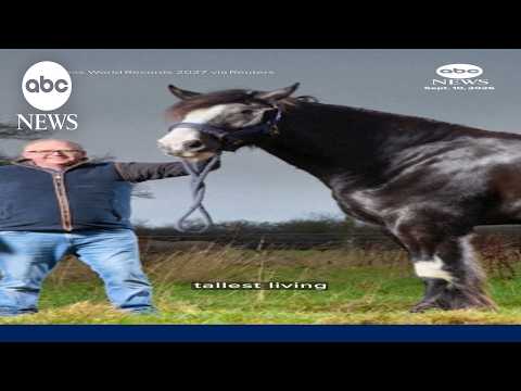 Guinness World Records adds new honorees