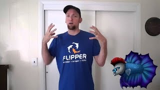 What Causes Brown Algae, How To Get Rid of Brown Algae