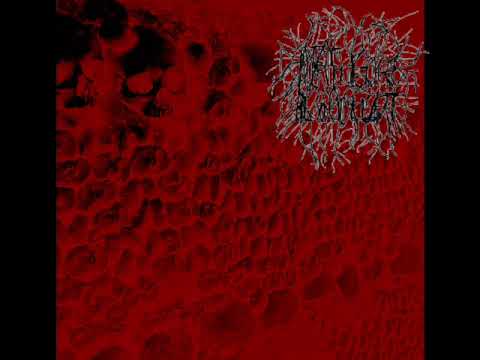 "Yeah i'm in a band" The band in question: