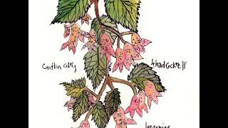 03 ◦ Caitlin Cary &amp; Thad Cockrell - Second Option