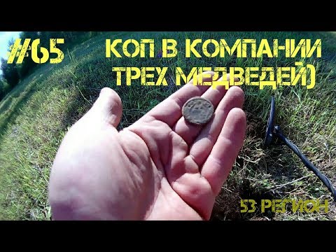 Прогулки с металлоискателем #65 - Коп в компании трех медведей)))