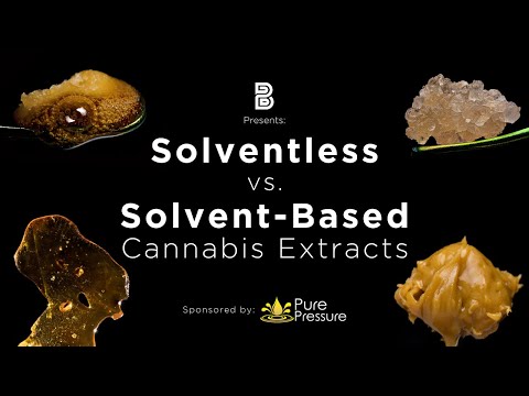 Cannabis Concentrates for Beginners: Solventless vs. Solvent-Based Extracts