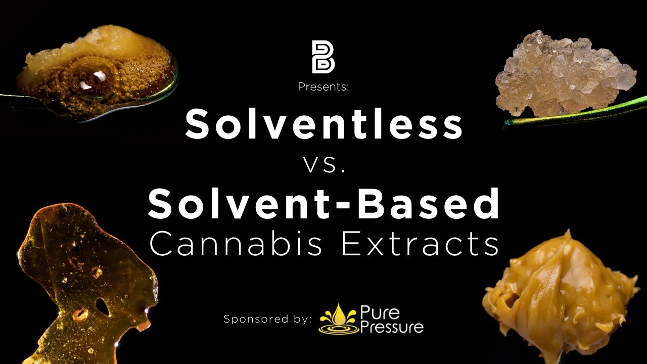 Cannabis Concentrates for Beginners: Solventless vs. Solvent-Based Extracts