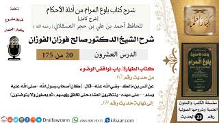 20 من 175 /شرح بلوغ المرام/الطهارة/نواقض الوضوء/صالح الفوزان/الحديث/كبار العلماء image