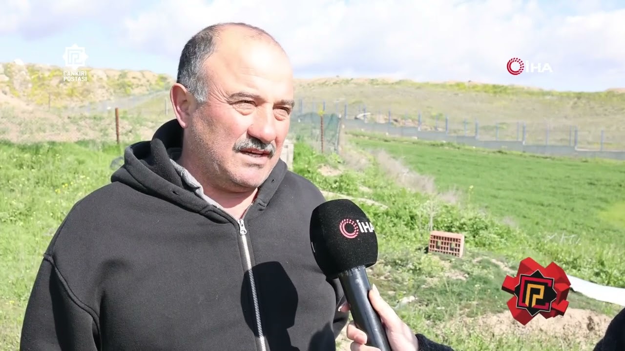 Çankırı’da Çiftçinin İsyanı: “Tarlamıza Akan Su Üretimi Bitirdi!”