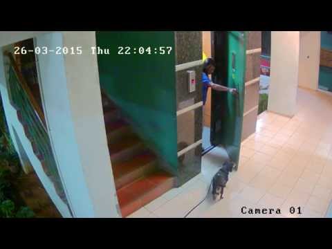 Night Vision 2MP IP camera with better senstivity