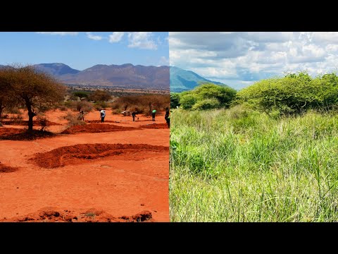 From degraded land to thriving ecosystems in Kongwa and Mpwapwa