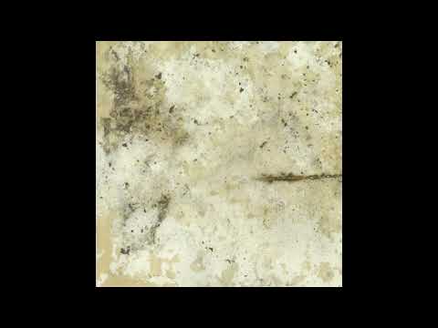 Cosmo Vitelli - The Shy Dictator