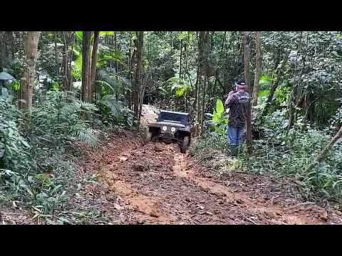 Subida da Carinata!!! Trilhão Corupá Jeep Club 2021!!!