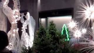 O Holy Night - Casey Breves