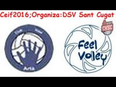 CEIF 2016 Grupo E Restaurante Ca Nostra Artá - Feel Volley Alcobendas
