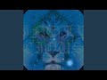 11 11 21 Lyran Meditation And Channeling Frequency 285HZ 528HZ 852HZ
